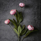 6-Piece Set of Imitation Silk Peony Flower Vase Decoration -4 Simulated Peony Branches with Stems DIY Bouquet Center Decoration, Wedding Filling Arrangement, Bathroom Decoration Table Ornaments