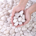 Decorative Polished Pebbles 2-3Cm, Ideal for Indoor Plants & Outdoor Gardens, Perfect for Vases, Aquariums, Festive Decorations