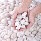 Decorative Polished Pebbles 2-3Cm, Ideal for Indoor Plants & Outdoor Gardens, Perfect for Vases, Aquariums, Festive Decorations