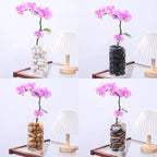 Decorative Polished Pebbles 2-3Cm, Ideal for Indoor Plants & Outdoor Gardens, Perfect for Vases, Aquariums, Festive Decorations