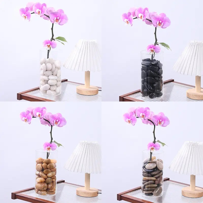 Decorative Polished Pebbles 2-3Cm, Ideal for Indoor Plants & Outdoor Gardens, Perfect for Vases, Aquariums, Festive Decorations