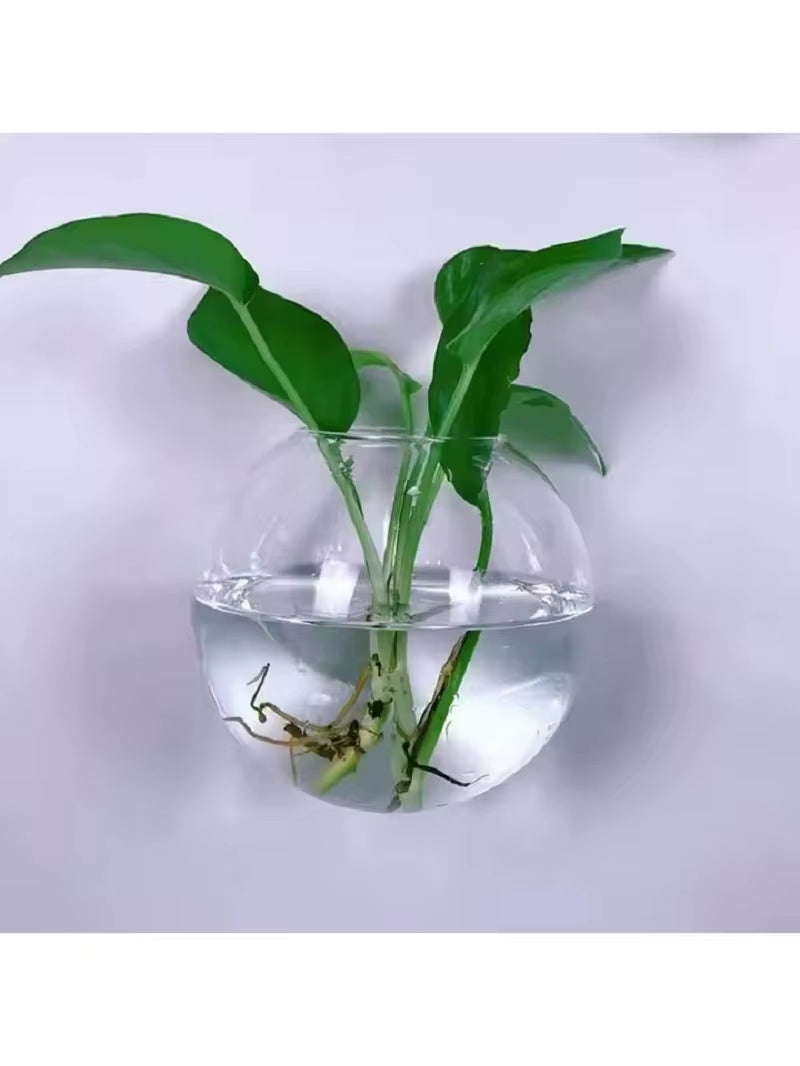2/4/6 Pack Wall Hanging Glass Terrarium - Self-Watering Hydroponic Planter for Home Office Decor, Handmade round Crystal Vase