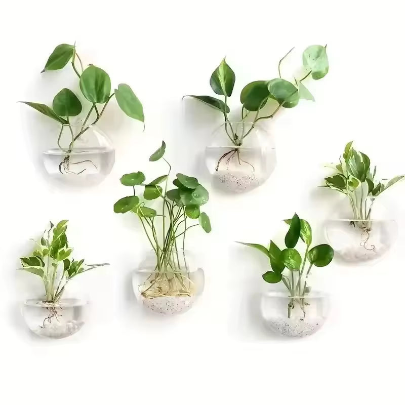 2/4/6 Pack Wall Hanging Glass Terrarium - Self-Watering Hydroponic Planter for Home Office Decor, Handmade round Crystal Vase