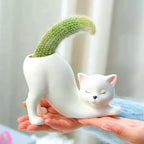 Unique Ceramic Cat Planter Pot，Cute Tailless Cat Little Planter Pot，Indoor and Outdoor Plant Displays，For Home Office Ceramic Containers Flower Pot,White(Plant Not Included)