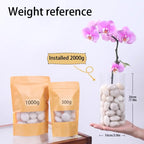Decorative Polished Pebbles 2-3Cm, Ideal for Indoor Plants & Outdoor Gardens, Perfect for Vases, Aquariums, Festive Decorations